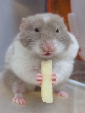 もらってしまえば・・・　～シェリル～