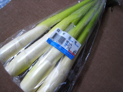 長い野菜.JPG