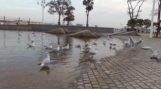 神戸港震災メモリアルパーク・５