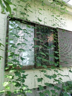 CIMG0530.JPG