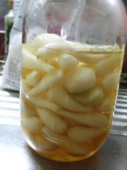 らっきょう漬け1