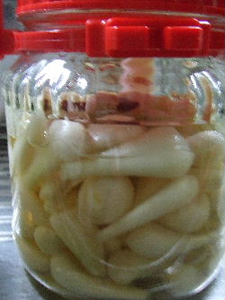 らっきょう漬け２