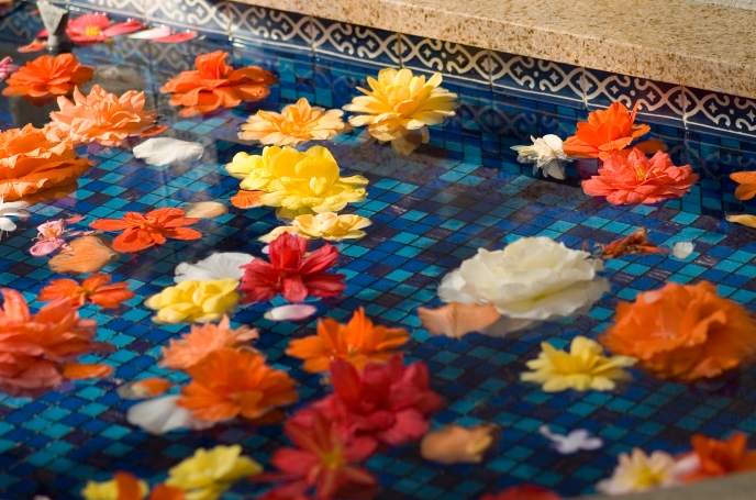 フラワーパーク6