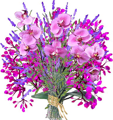 b73f7c941e67e1880c7df6cwj5.gif