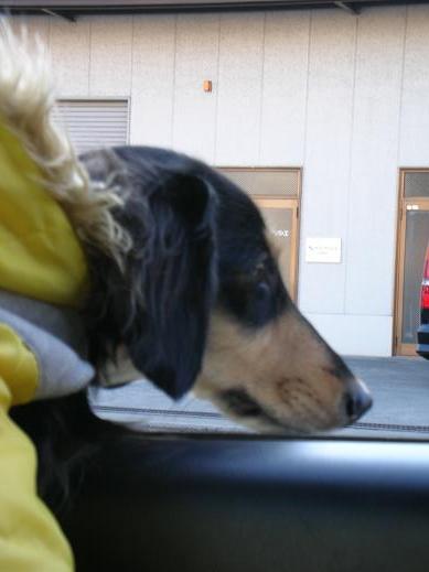 おっっっ！？あれは？？？