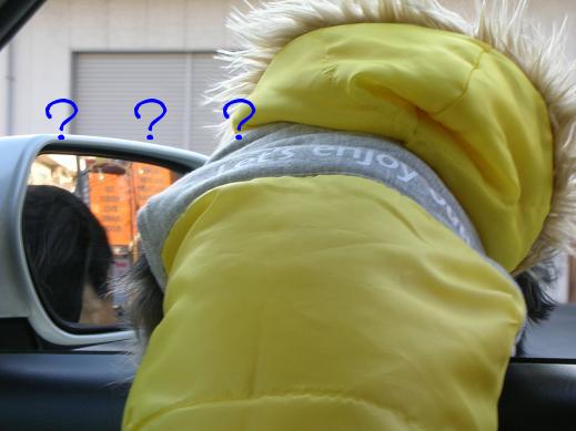 なんだぁ？？？