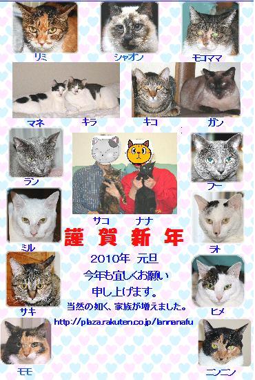 2010年賀状.jpg