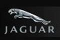 ジャガー (Jaguar)