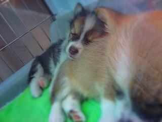 C360_2010-12-05 18-06-23.jpg