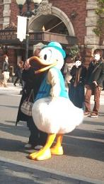 C360_2011-02-10 14-26-11_org.jpg