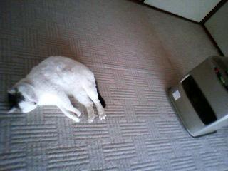 コロンストーブの前で