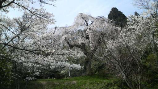 みろく公園２