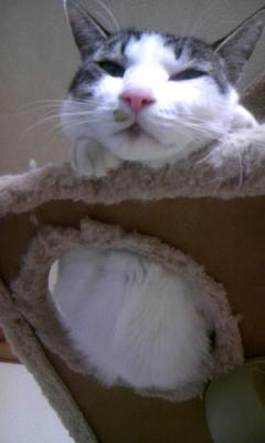 何か文句でも？