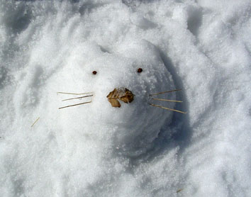 雪像くま