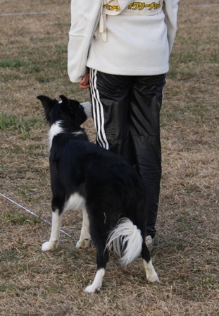 IMG_4365.JPG