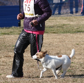 IMG_4430.JPG