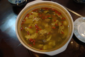DSC07704.jpg