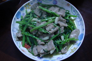 DSC07637.jpg
