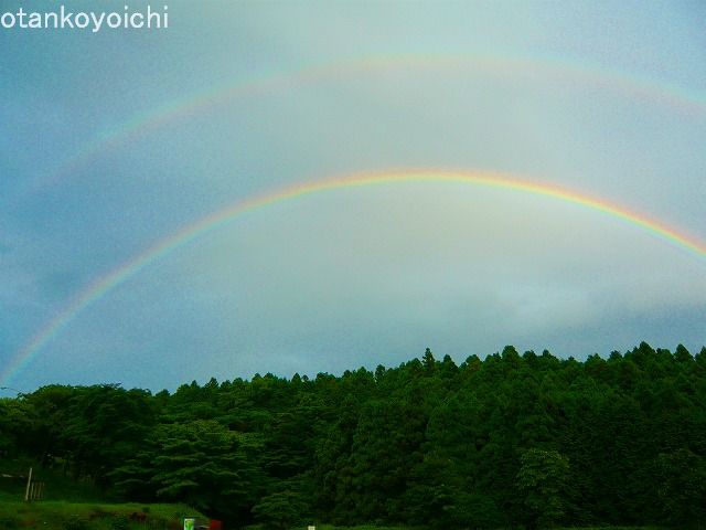 虹ふたえ