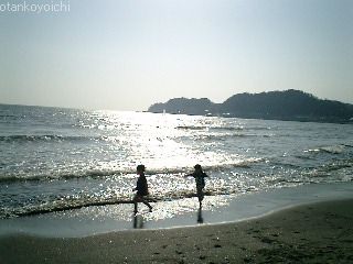 夏の海辺　3