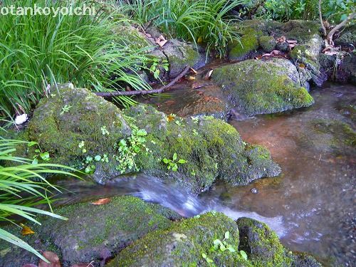 楽寿園 はやの瀬