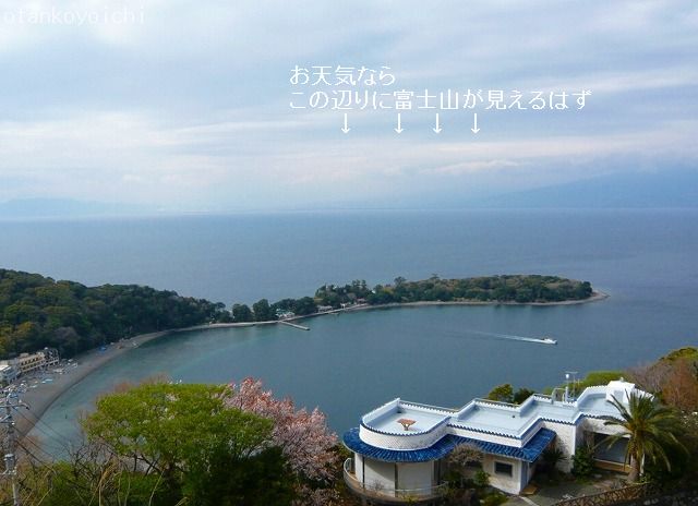 大瀬崎　春、山の上から