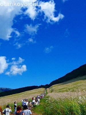 仙石原　ススキ行列