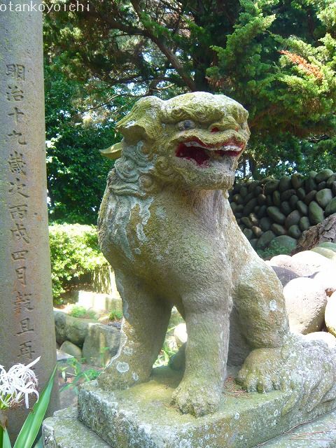 大瀬神社　先輩狛犬　あ