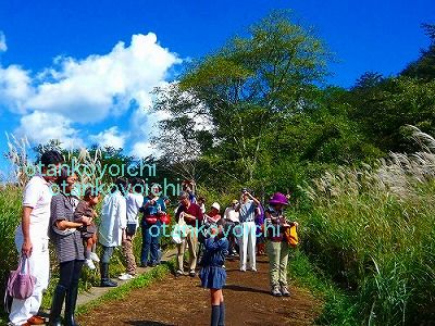 仙石原　行列の行き止まり　頂上