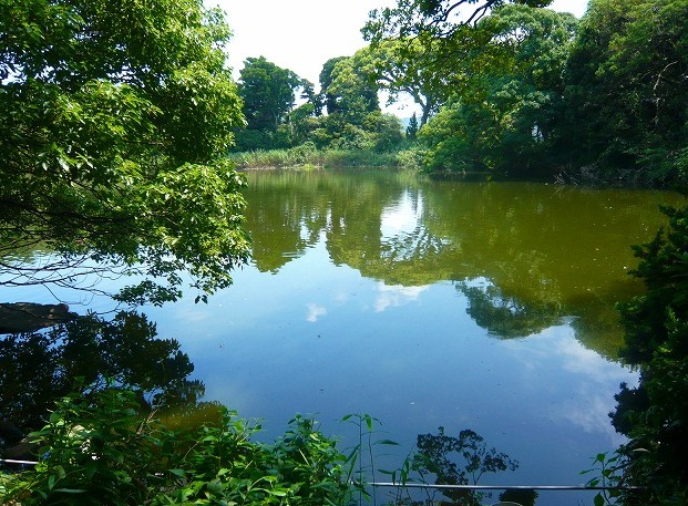 大瀬神社　神池