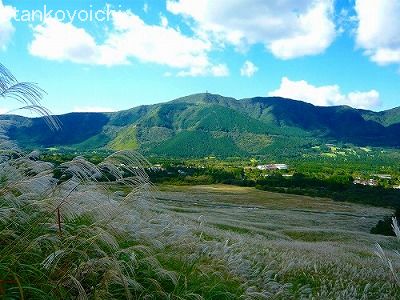仙石原　薄原２