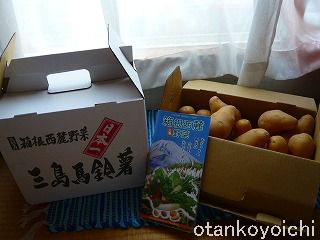 巨大コロッケプロジェクト6