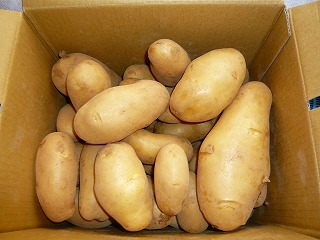 巨大コロッケプロジェクト7