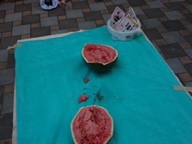 DSC01529.jpg