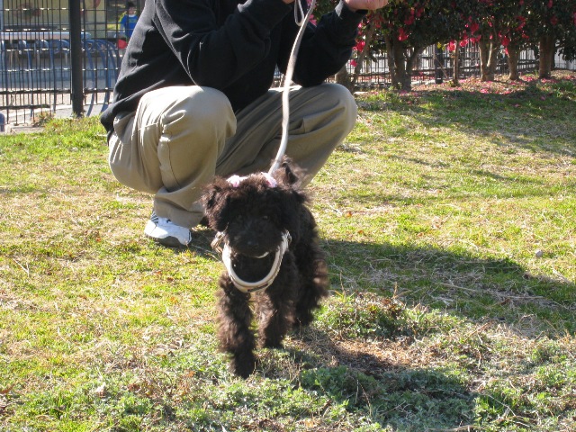 2010.02.20_いちご狩り_公園にて2