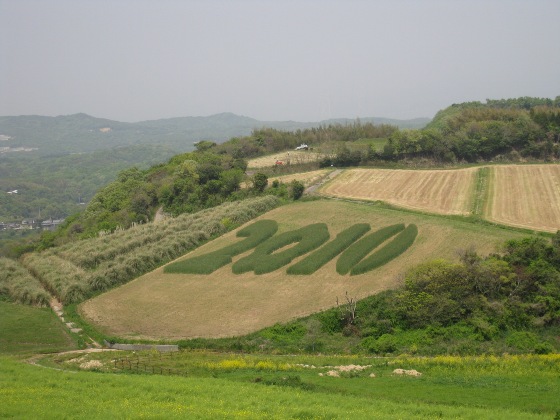 2010.05.05_あわじ花さじき１-1