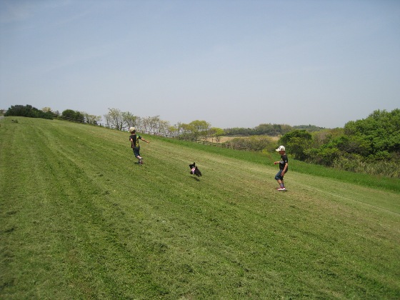 2010.05.05_あわじ花さじき9