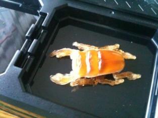 グミックスクワ