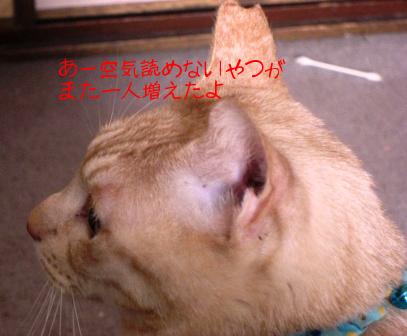 モカまりあと宗次郎 020.JPG