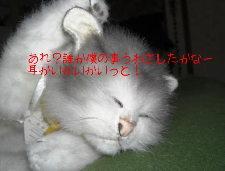 モカまりあ花と宗次郎 038.JPG