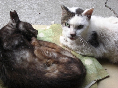 もかまりあ 034.JPG