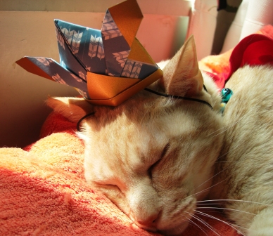 モカまりあ端午の節句 018.JPG