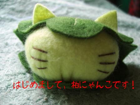 モカまりあ端午の節句 022.JPG