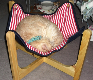 もかまりあ 003.JPG