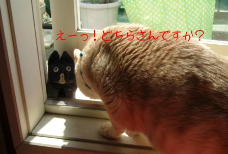 モカまりあ花と宗次郎 009.JPG