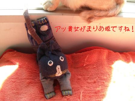 モカまりあ花と宗次郎 014.JPG