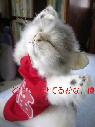 モカまりあ端午の節句 048.JPG