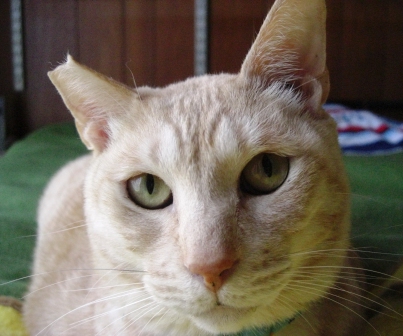 もかまりあ 029.JPG