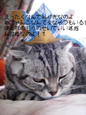 モカまりあ端午の節句 028.JPG