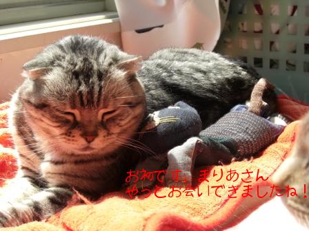 モカまりあ花と宗次郎 031.JPG